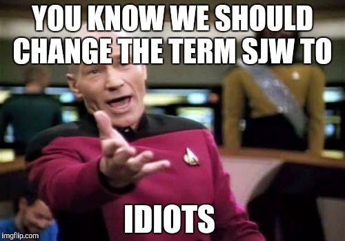 I just thought of this | YOU KNOW WE SHOULD CHANGE THE TERM SJW TO; IDIOTS | image tagged in memes,picard wtf,sjw memes,social justice warrior,social justice warriors | made w/ Imgflip meme maker