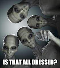 IS THAT ALL DRESSED? | made w/ Imgflip meme maker