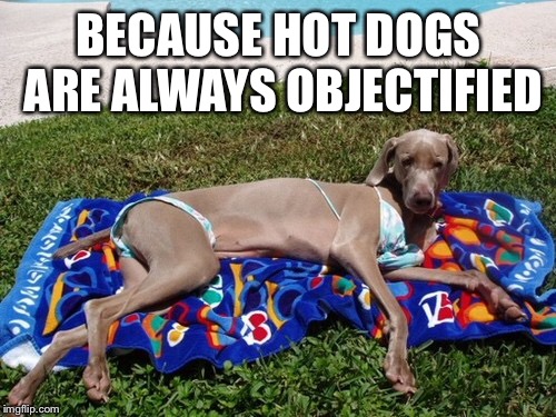 BECAUSE HOT DOGS ARE ALWAYS OBJECTIFIED | made w/ Imgflip meme maker