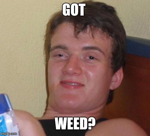 10 Guy Meme | GOT WEED? | image tagged in memes,10 guy | made w/ Imgflip meme maker
