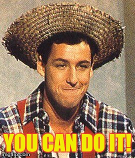 cajun man | YOU CAN DO IT! | image tagged in cajun man | made w/ Imgflip meme maker