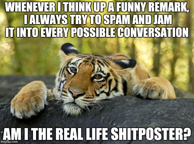 2me4irl | WHENEVER I THINK UP A FUNNY REMARK, I ALWAYS TRY TO SPAM AND JAM IT INTO EVERY POSSIBLE CONVERSATION; AM I THE REAL LIFE SHITPOSTER? | image tagged in confession tiger,online content,in real life,not funny,thinks-istentialism,living the internet | made w/ Imgflip meme maker