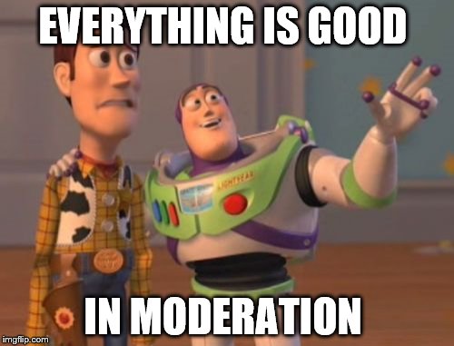X, X Everywhere Meme | EVERYTHING IS GOOD; IN MODERATION | image tagged in memes,x x everywhere | made w/ Imgflip meme maker