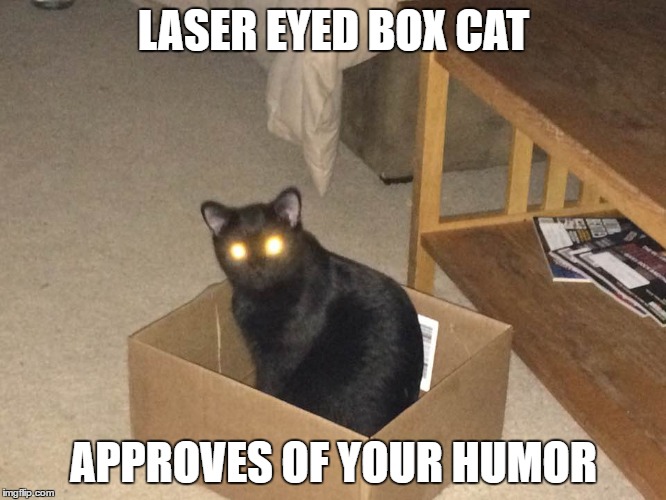 Laser Eyed Box Cat | LASER EYED BOX CAT; APPROVES OF YOUR HUMOR | image tagged in cat approves,cat,kitteh | made w/ Imgflip meme maker