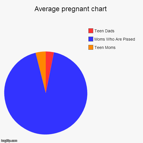 image tagged in funny,pie charts | made w/ Imgflip chart maker