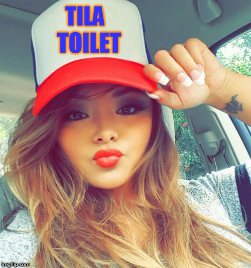 have fun with the template | TOILET; TILA | image tagged in toilet,bigot,wannabe,bitch,racist,toilet mouth | made w/ Imgflip meme maker