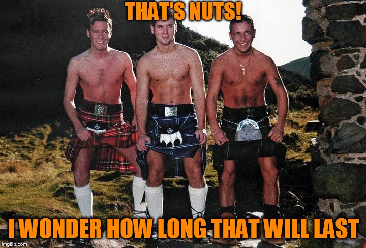 THAT'S NUTS! I WONDER HOW LONG THAT WILL LAST | image tagged in scottish kilt guys | made w/ Imgflip meme maker