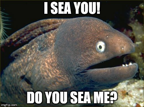 Bad Joke Eel | I SEA YOU! DO YOU SEA ME? | image tagged in memes,bad joke eel | made w/ Imgflip meme maker