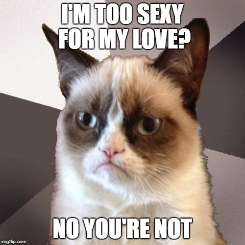 Musically Malicious Grumpy Cat | I'M TOO SEXY FOR MY LOVE? NO YOU'RE NOT | image tagged in musically malicious grumpy cat | made w/ Imgflip meme maker