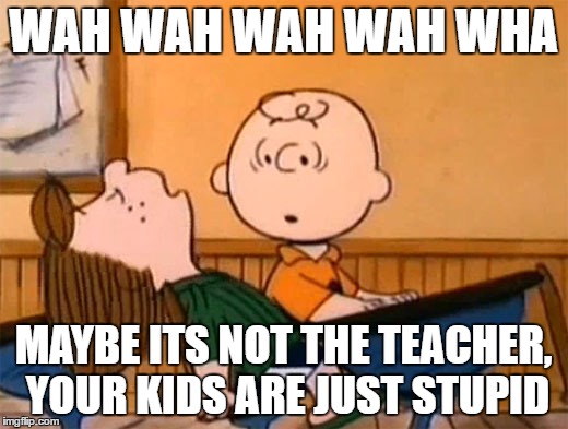 WAH WAH WAH WAH WHA; MAYBE ITS NOT THE TEACHER, YOUR KIDS ARE JUST STUPID | image tagged in truth | made w/ Imgflip meme maker