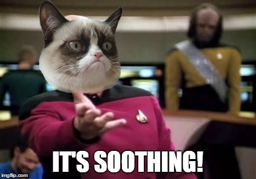 Picard Wtf Meme | IT'S SOOTHING! | image tagged in memes,picard wtf | made w/ Imgflip meme maker
