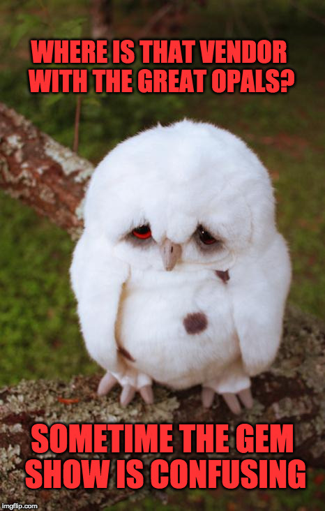 sad owl | WHERE IS THAT VENDOR WITH THE GREAT OPALS? SOMETIME THE GEM SHOW IS CONFUSING | image tagged in sad owl | made w/ Imgflip meme maker