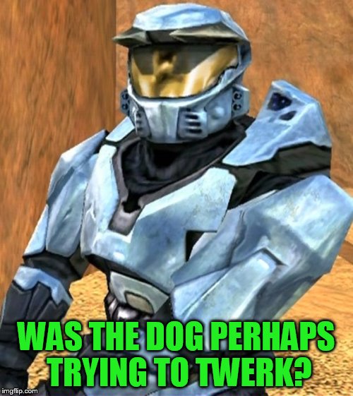 WAS THE DOG PERHAPS TRYING TO TWERK? | image tagged in church rvb season 1 | made w/ Imgflip meme maker