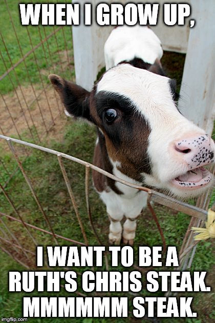 WHEN I GROW UP, I WANT TO BE A RUTH'S CHRIS STEAK. MMMMMM STEAK. | image tagged in talking cow | made w/ Imgflip meme maker