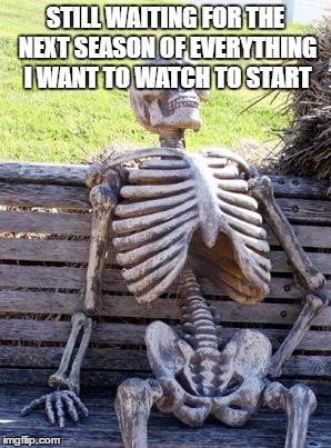 Waiting Skeleton | STILL WAITING FOR THE NEXT SEASON OF EVERYTHING I WANT TO WATCH TO START | image tagged in memes,waiting skeleton | made w/ Imgflip meme maker