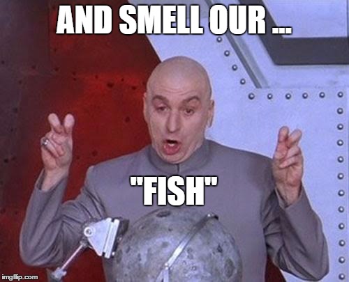 Dr Evil Laser Meme | AND SMELL OUR ... "FISH" | image tagged in memes,dr evil laser | made w/ Imgflip meme maker