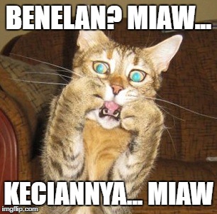 BENELAN? MIAW... KECIANNYA... MIAW | made w/ Imgflip meme maker