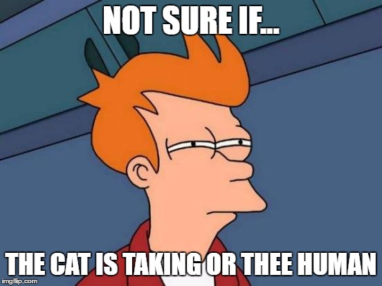 Futurama Fry | NOT SURE IF... THE CAT IS TAKING OR THEE HUMAN | image tagged in memes,futurama fry,grumpy cat,not sure if | made w/ Imgflip meme maker