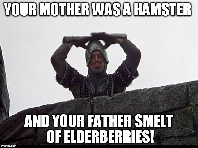 YOUR MOTHER WAS A HAMSTER AND YOUR FATHER SMELT OF ELDERBERRIES! | image tagged in taunting french guard | made w/ Imgflip meme maker