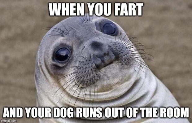 Awkward Moment Sealion |  WHEN YOU FART; AND YOUR DOG RUNS OUT OF THE ROOM | image tagged in memes,awkward moment sealion | made w/ Imgflip meme maker