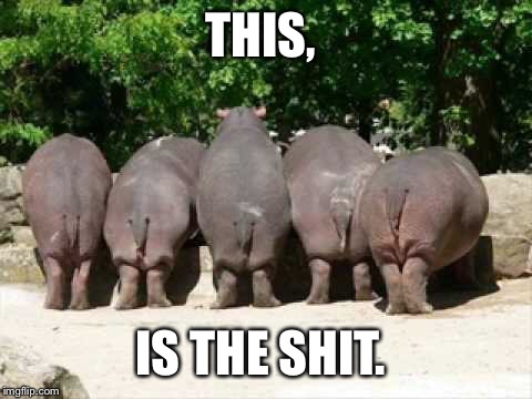 Hippo butts | THIS, IS THE SHIT. | image tagged in hippo butts | made w/ Imgflip meme maker
