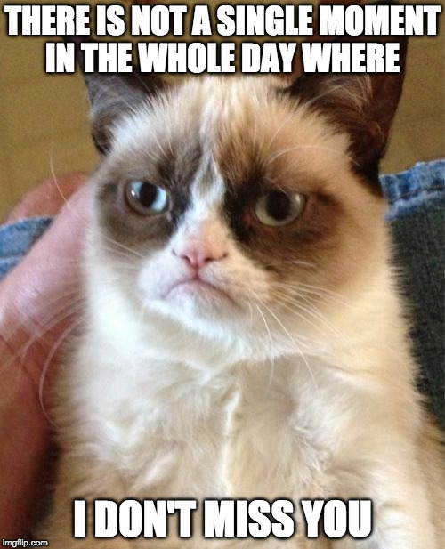 Grumpy Cat | THERE IS NOT A SINGLE MOMENT IN THE WHOLE DAY WHERE; I DON'T MISS YOU | image tagged in memes,grumpy cat | made w/ Imgflip meme maker