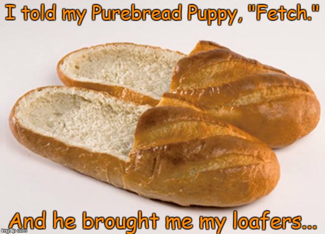 My Loafers Cost a Lotta Bread | I told my Purebread Puppy, "Fetch."; And he brought me my loafers... | image tagged in bread shoes,vince vance,french bread slippers,told my purebread puppy fetch | made w/ Imgflip meme maker