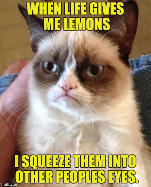 Grumpy Cat Meme | WHEN LIFE GIVES ME LEMONS; I SQUEEZE THEM INTO OTHER PEOPLES EYES. | image tagged in memes,grumpy cat,funny,when life gives you lemons | made w/ Imgflip meme maker