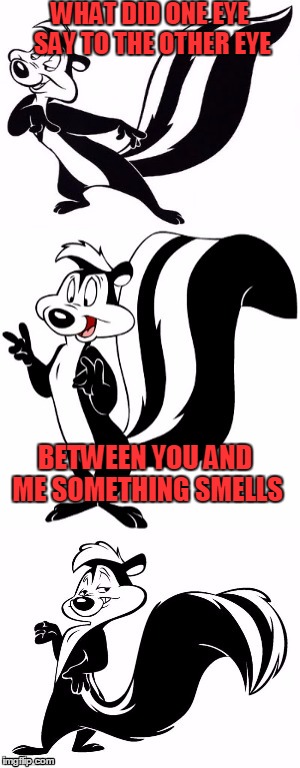 He Should Know | WHAT DID ONE EYE SAY TO THE OTHER EYE; BETWEEN YOU AND ME SOMETHING SMELLS | image tagged in bad pun le pew,stinky,cartoon charater,funny | made w/ Imgflip meme maker