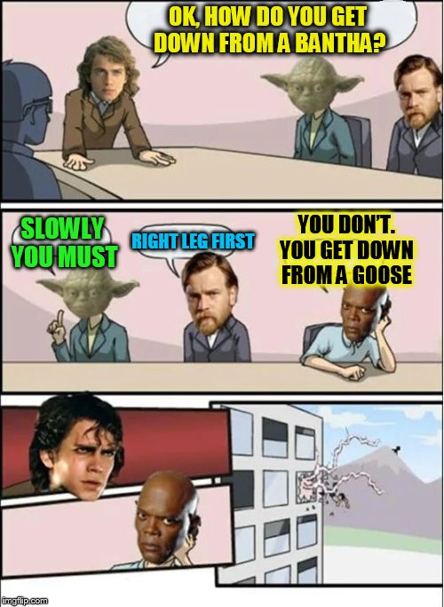 Jedi Board Meeting (A BatmanTheDarkKnight0 template) | OK, HOW DO YOU GET DOWN FROM A BANTHA? SLOWLY YOU MUST; YOU DON’T. YOU GET DOWN FROM A GOOSE; RIGHT LEG FIRST | image tagged in jedi board meeting,starwars,jedi,funny meme,jokes,goose | made w/ Imgflip meme maker