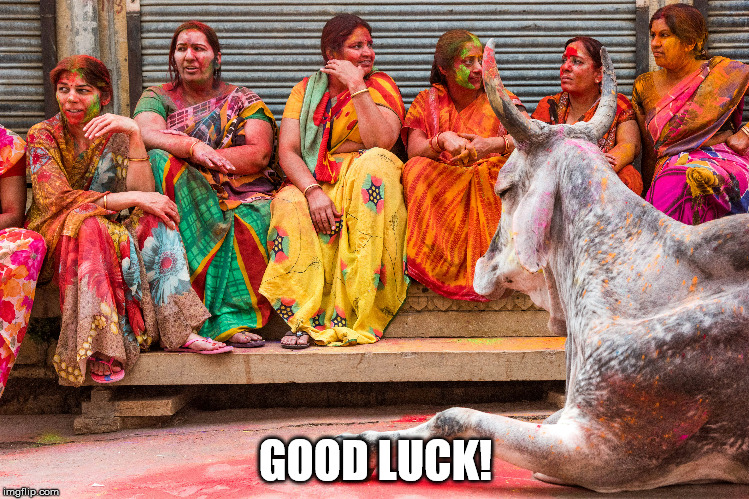 GOOD LUCK! | image tagged in india | made w/ Imgflip meme maker