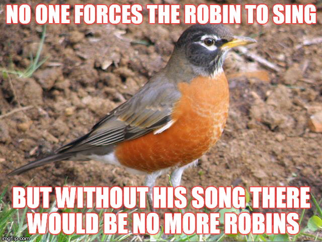 NO ONE FORCES THE ROBIN TO SING; BUT WITHOUT HIS SONG THERE WOULD BE NO MORE ROBINS | image tagged in animal kingdom,evolution,gender roles | made w/ Imgflip meme maker