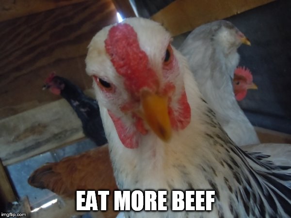 EAT MORE BEEF | made w/ Imgflip meme maker