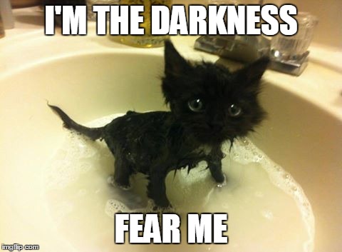 I'M THE DARKNESS; FEAR ME | image tagged in memes,funny,cat,funny cat,cat memes,funny cat memes | made w/ Imgflip meme maker