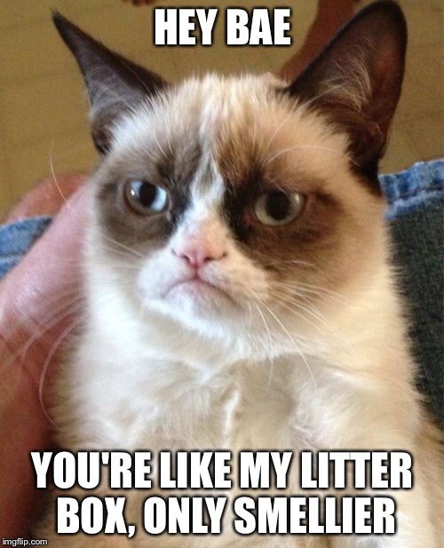 Grumpy Cat Meme | HEY BAE YOU'RE LIKE MY LITTER BOX, ONLY SMELLIER | image tagged in memes,grumpy cat | made w/ Imgflip meme maker