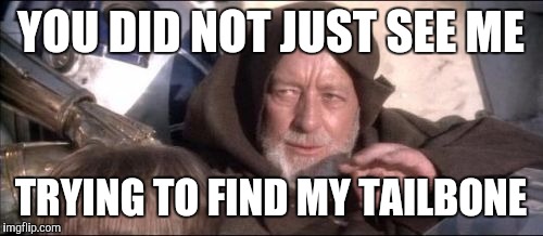 These Aren't The Droids You Were Looking For Meme | YOU DID NOT JUST SEE ME; TRYING TO FIND MY TAILBONE | image tagged in memes,these arent the droids you were looking for | made w/ Imgflip meme maker