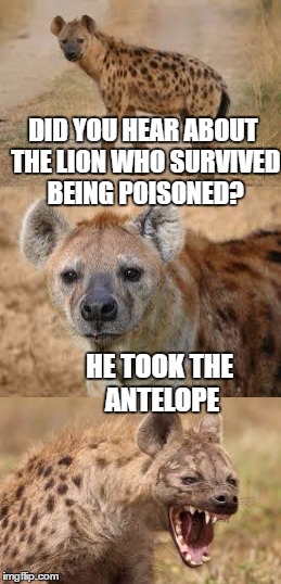 DID YOU HEAR ABOUT THE LION WHO SURVIVED BEING POISONED? HE TOOK THE ANTELOPE | made w/ Imgflip meme maker