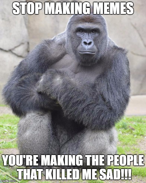 Harambe | STOP MAKING MEMES; YOU'RE MAKING THE PEOPLE THAT KILLED ME SAD!!! | image tagged in harambe | made w/ Imgflip meme maker