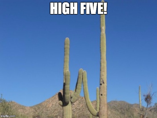 HIGH FIVE! | made w/ Imgflip meme maker