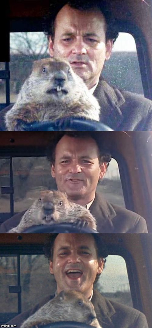 High Quality Ground Hog Day Madness Blank Meme Template