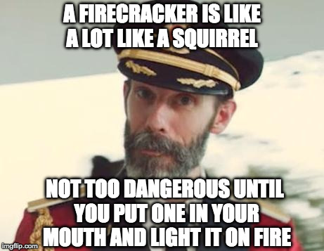 Captain Obvious | A FIRECRACKER IS LIKE A LOT LIKE A SQUIRREL; NOT TOO DANGEROUS UNTIL YOU PUT ONE IN YOUR MOUTH AND LIGHT IT ON FIRE | image tagged in captain obvious,iwanttobebacon,squirrel,firecracker | made w/ Imgflip meme maker