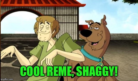 COOL REME, SHAGGY! | made w/ Imgflip meme maker