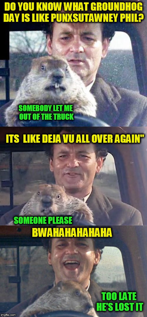 Ground Hog Day Madness | DO YOU KNOW WHAT GROUNDHOG DAY IS LIKE PUNXSUTAWNEY PHIL? SOMEBODY LET ME OUT OF THE TRUCK; ITS  LIKE DEJA VU ALL OVER AGAIN"; SOMEONE PLEASE; BWAHAHAHAHAHA; TOO LATE HE'S LOST IT | image tagged in ground hog day madness | made w/ Imgflip meme maker
