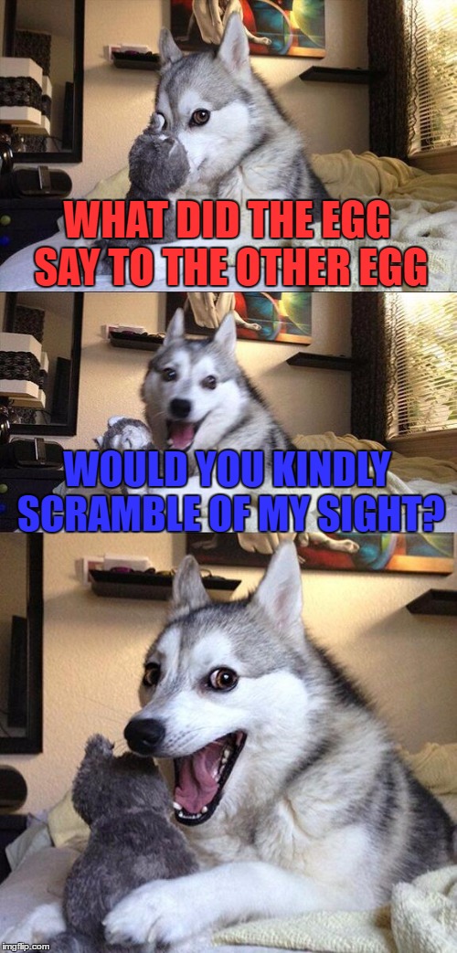 Bad Pun Dog | WHAT DID THE EGG SAY TO THE OTHER EGG; WOULD YOU KINDLY SCRAMBLE OF MY SIGHT? | image tagged in memes,bad pun dog | made w/ Imgflip meme maker