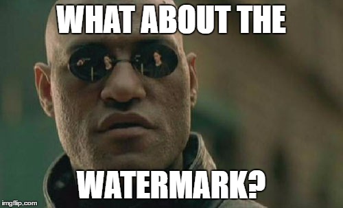 Matrix Morpheus Meme | WHAT ABOUT THE WATERMARK? | image tagged in memes,matrix morpheus | made w/ Imgflip meme maker