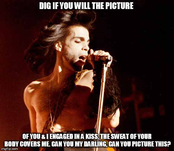 PRINCE~ WHEN DOVES CRY | DIG IF YOU WILL THE PICTURE; OF YOU & I ENGAGED IN A KISS. THE SWEAT OF YOUR BODY COVERS ME. CAN YOU MY DARLING, CAN YOU PICTURE THIS? | image tagged in prince,when doves cry,dig if you will the picture of you  i engaged in a kiss | made w/ Imgflip meme maker