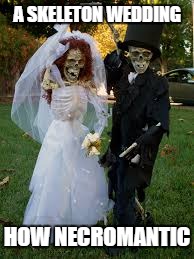 skeleton wedding | A SKELETON WEDDING; HOW NECROMANTIC | image tagged in memes,funny | made w/ Imgflip meme maker