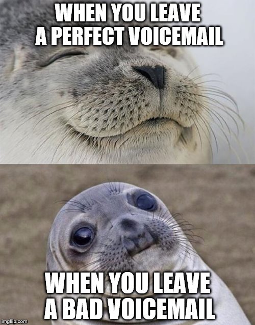 There's no in between that's why everyone texts. | WHEN YOU LEAVE A PERFECT VOICEMAIL; WHEN YOU LEAVE A BAD VOICEMAIL | image tagged in memes,short satisfaction vs truth,voicemail,telephone | made w/ Imgflip meme maker