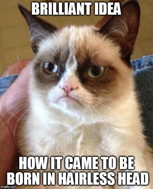 Grumpy Cat Meme | BRILLIANT IDEA HOW IT CAME TO BE BORN IN HAIRLESS HEAD | image tagged in memes,grumpy cat | made w/ Imgflip meme maker