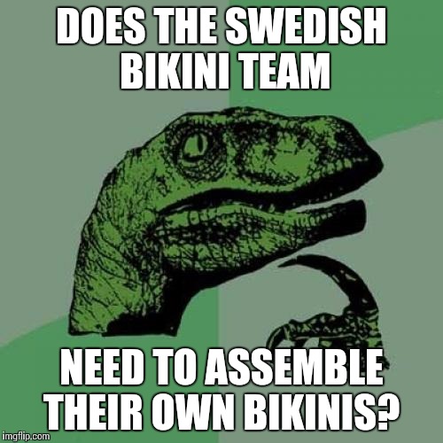 Swedish way of life  | DOES THE SWEDISH BIKINI TEAM; NEED TO ASSEMBLE THEIR OWN BIKINIS? | image tagged in memes,philosoraptor | made w/ Imgflip meme maker